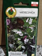 Miesięcznica nasiona