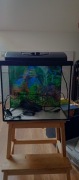 Używane akwarium 35L z pokrywą+pompka z 2 zestawami filtrów do wyboru. 