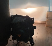 Jeep cherokee kl lampa 