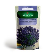 Lawenda lekarska 0,2g Vilmorin