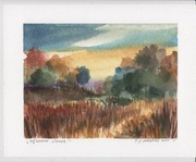 paweł jerzy migdalski  - akwarela. pejzaż mazowiecki 2