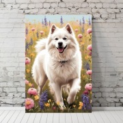 Plakat Samoyed wśród kwiatów A3 (30x40)