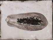 Ambrotypia - Hell's Kitchen 012