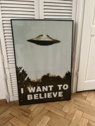 Plakat w antyramie I WANT TO BELIEVE The X Files, Z archiwum X, 60x90