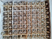 Żarówki rurkowe 4cm cm12V/10W polski produkt 