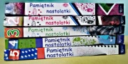 Książki ,,Pamiętnik nastolatki" dla młodzieży 
