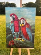 obraz olejny papugi 