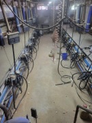 Hala udojowa Rybia ość2x7 Delaval