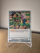 Karta Dragon Ball Super TCG: Awakening to Perfect Form (FB02-100)