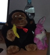 Pluszowy Goryl + Zajączek