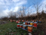 Rodziny pszczele odkłady