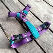 Wodoodporne szelki GUARD HEXA