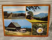 Widokówka Pocztówka SKRZYCZNE SCHRONISKO PTTK GÓRY PIES 