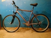 rower author stratos