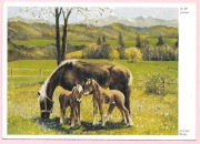 R.W.Janner - konie, klacz i źrebaki na łące ...