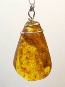 wisiorek z bursztynu