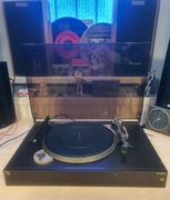 Gramofon Schneider KA.1004 P sprawny Dual dn237