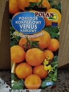 Pomidor koktajlowy "Venus" karłowy