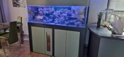 Akwarium Morskie 900l MEGA okazja!!!