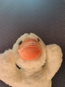 Pluszak biała gęś nowy