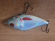 Salmo Poland Slider 12