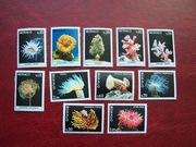 Monako 1980 MNH Mi. 1449/58 Fauna Życie Morskie Koralowce