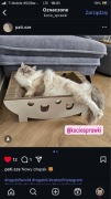 ECO drapak dla kota BOWL od Kocie Sprawki
