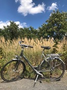 Gazelle Medeo Limited Edition