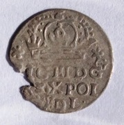 Grosz 1623, Zygmunt III Waza, DGG