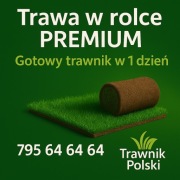 Trawa w rolce 40 m2, trawa z rolki, rolka trawy, trawnik, Trawnik Polski