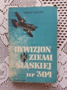 Dywizjon Ziemi Śląskiej nr 304