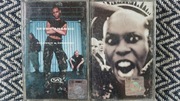 Skunk Anansie - 2 płyty na kasetach
