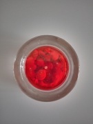 ŚWIECZKA ŻELOWA Z MUSZELKAMI TEA LIGHTS - CZERWONA