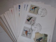 Zestaw kopert FCD rocznik 1960, 34 sztuki