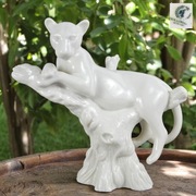 puma tygrys dziki kot na drzewie Hollohaza Węgry lata 90te 18/20cm