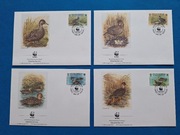 Zestaw 4 szt. koperta koperty WWF Cyraneczka żółtodzioba