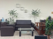 Meble jak nowe – świetna jakość w super cenie!