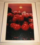 WIŚNIE FOTOGRAFIA 50x40cm ALU RAMKA [N28]