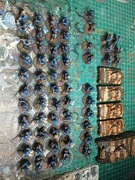 Warlord Games Bolt action Armia Francja 