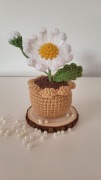 Kwiaty w doniczce na szydełku Rumianek z pąkiem