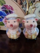 Przyprawniki świnki 