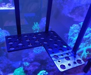 Półka na koralowce Szczepki narożna uchwyt na szybę akwarium morskie 