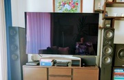 Tv LG 65 OLED B7, 