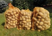 Ziemniak denar woreczki 15 kg
