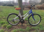 Rower trekkingowy koła 26" Active Leader