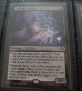 Twilight Diviner