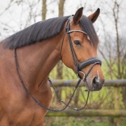 Ogłowie szwedzkie Qhp cyrelle czarne Full