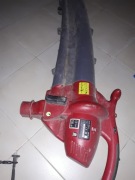 Einhell RG-EL 2500E