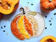 Panel sensoryczny DYNIA - SensoBudka