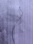 Antena |Oppo A78 4G CPH2565